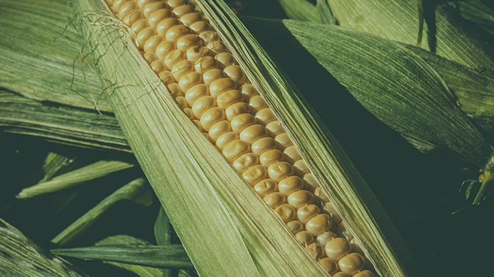 百乐博-非凡设想力,引发无限可能