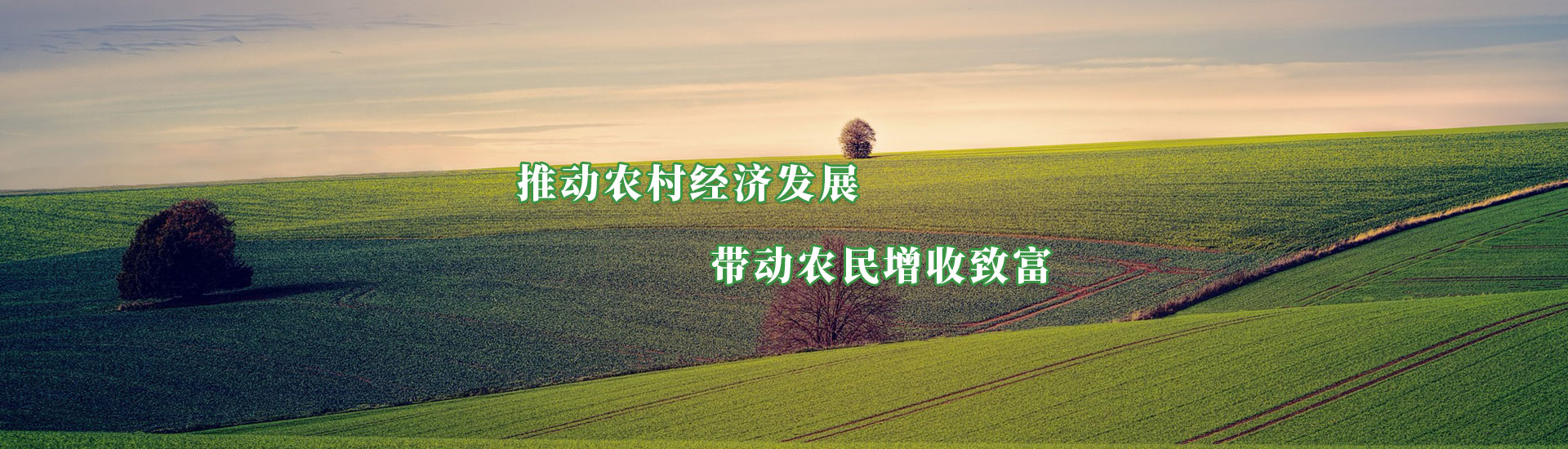 百乐博-非凡设想力,引发无限可能