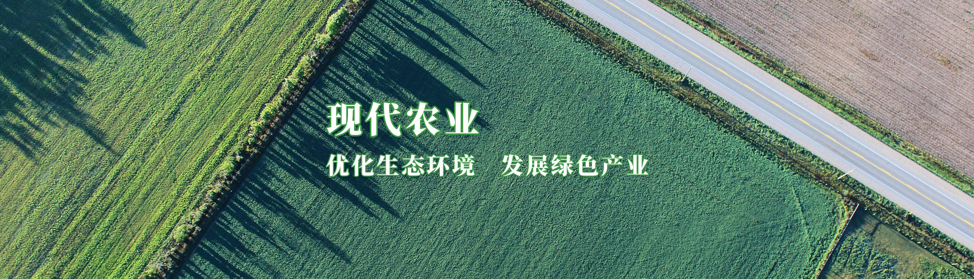 百乐博-非凡设想力,引发无限可能