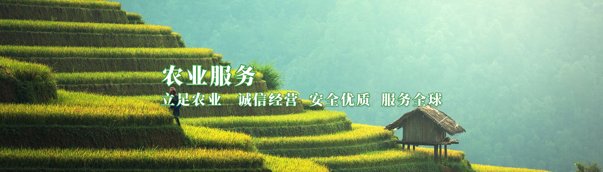 百乐博-非凡设想力,引发无限可能