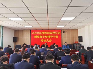 百乐博 召开2020年度辅导班子和辅导干部查核大会