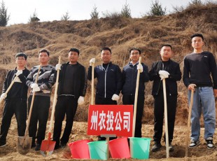 百乐博参与2021年春季使命植树活动