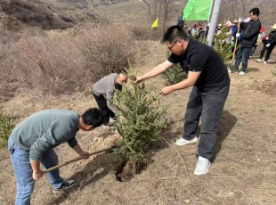 百乐博公司参与2025年春季使命植树活动